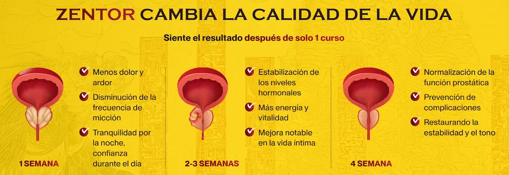 Ingredientes naturales de Zentor