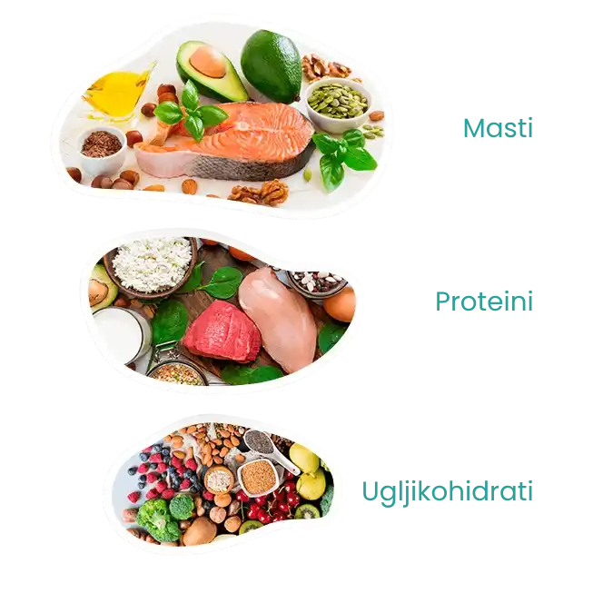 Vodič za zdravu prehranu