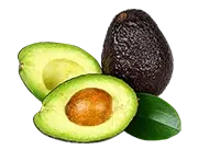 Ekstrakt plodova avokada